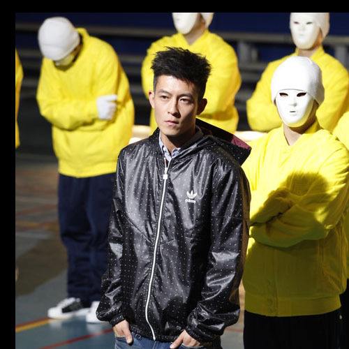 Original Adidas Mens Cotton Windbreak P01476 Hoodie